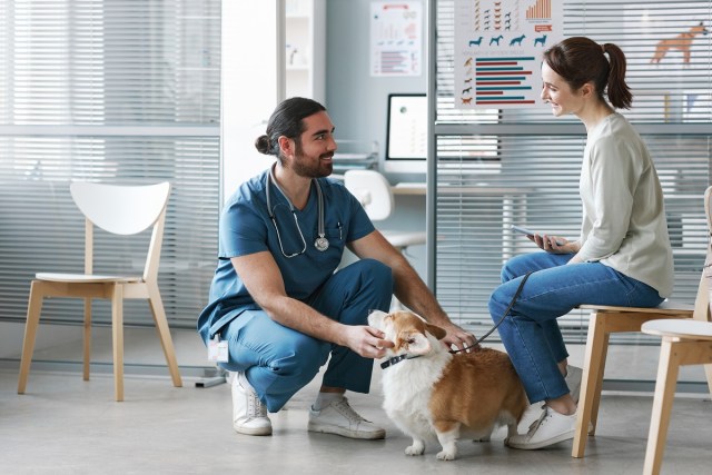 Minimally Invasive Surgery in Veterinary Medicine: Applications and Benefits
